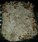 IMG_20171119_135020.jpg
