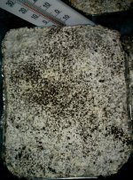 IMG_20171119_135134.jpg