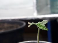 20171121_161148.jpg
