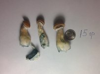 IMG_20171121_204628.jpg
