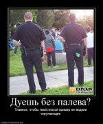 466150_duesh-bez-paleva.jpg 466150_duesh-bez-paleva.jpg