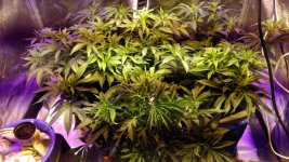 IMG-20171123-WA0004.jpg