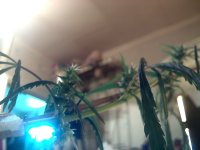 vlcsnap-00006 копия.jpg