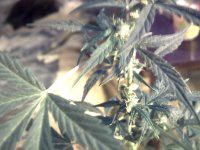 vlcsnap-00009 копия.jpg