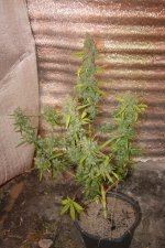 IMG_0019.JPG