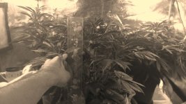 IMG-20171125-WA0011.jpg