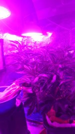 IMG-20171125-WA0006.jpg