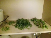 20171125_222955.jpg