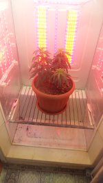 20171127_184244.jpg