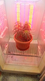 20171127_184244_Richtone(HDR).jpg