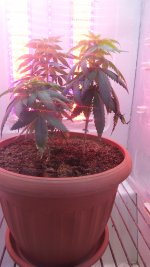20171127_184532.jpg