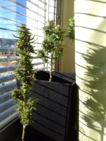 20171127_142258.jpg