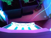 20171127_164237.jpg