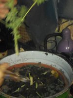 IMG_20171127_184851.jpg