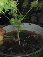 IMG_20171127_184837.jpg