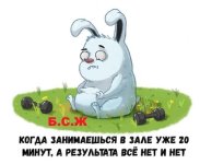 imageвууу.jpg