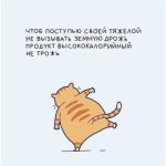 imageсч.jpg