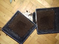 20171201_144755.jpg