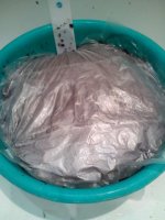 IMG_20171201_104736.jpg