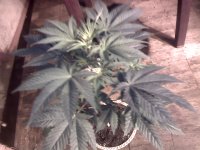 vlcsnap-00004 копия.jpg