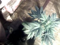 vlcsnap-00006 копия.jpg