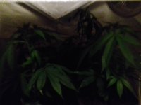 20171201_232208.jpg