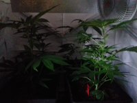 20171202_092114.jpg