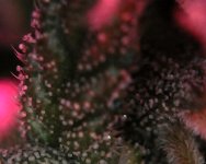 Sat Dec 02 18-43-47.jpg