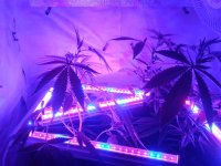 20171202_181329.jpg