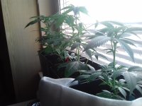 20171203_111811.jpg