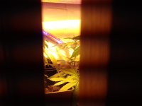 20171206_180306.jpg