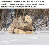 71550716.f.800.800.0.jpg