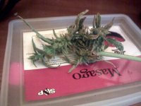 vlcsnap-00009 копия.jpg