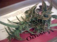 vlcsnap-00012 копия.jpg