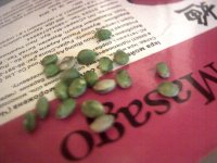 vlcsnap-00015 копия.jpg