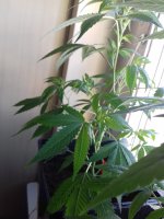 20171207_110039.jpg