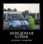 demotivatorium_ru_nevedomaja_hujnja_39592.jpg