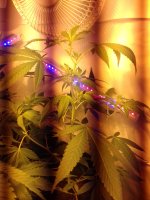 20171208_104704.jpg 20171208_104704.jpg