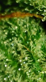 20171209_111206-0.jpg