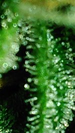 20171209_112031-0.jpg