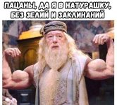 imageТИМСЧ.jpg