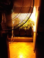 20171211_213107.jpg 20171211_213107.jpg