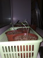 IMG_20171212_163831.jpg IMG_20171212_163831.jpg