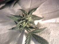 vlcsnap-00002 копия.jpg