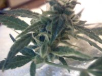 vlcsnap-00004 копия.jpg