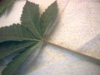 vlcsnap-00006 копия.jpg