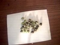 vlcsnap-00007 копия.jpg