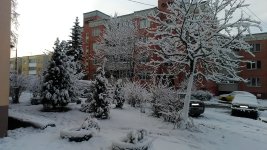 P_20171210_105934.jpg