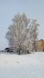P_20171210_111424.jpg