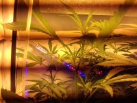 20171214_194107.jpg